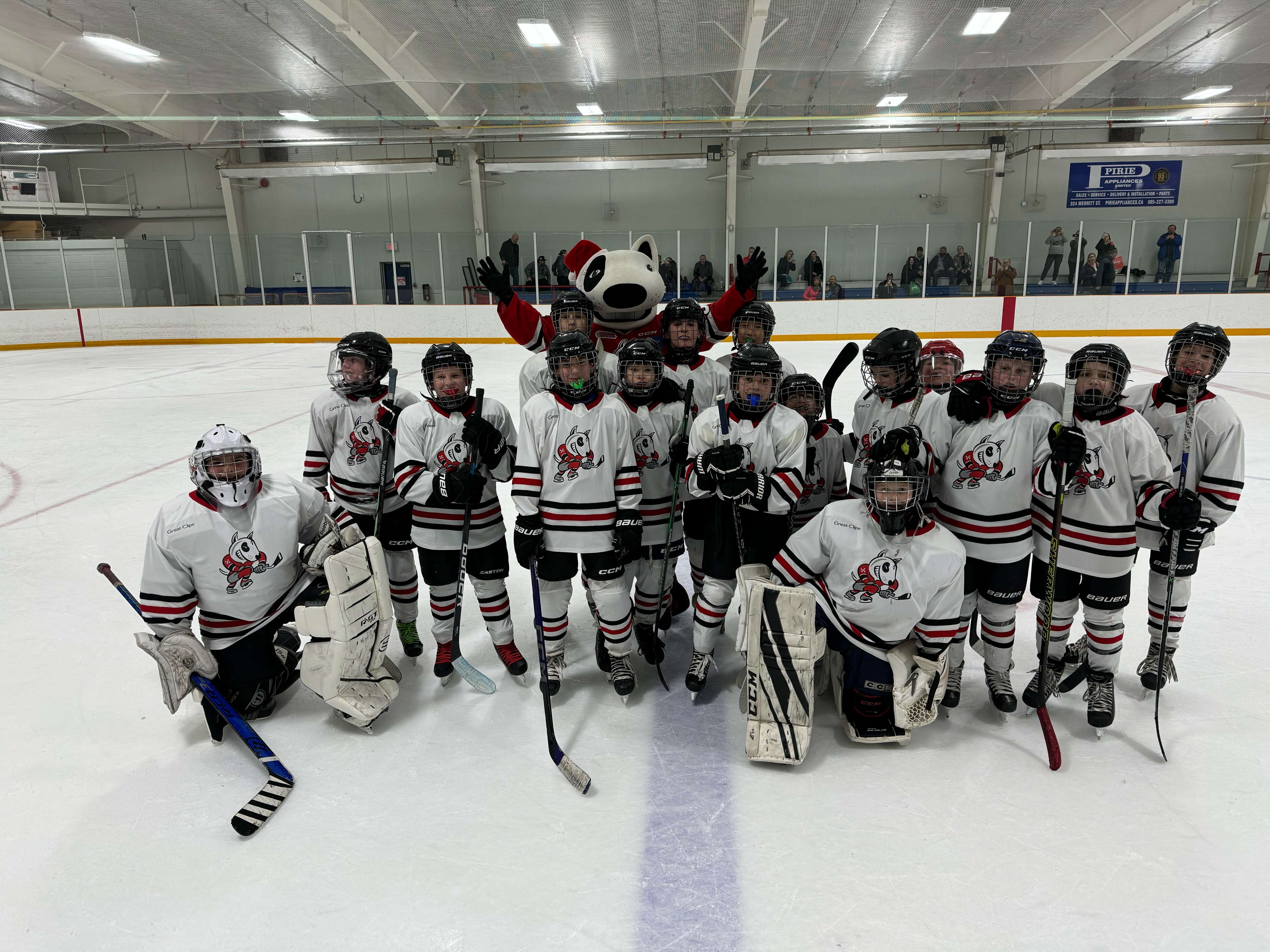 News > St Catharines IceDogs BB Coaching Applications (St Catharines ...