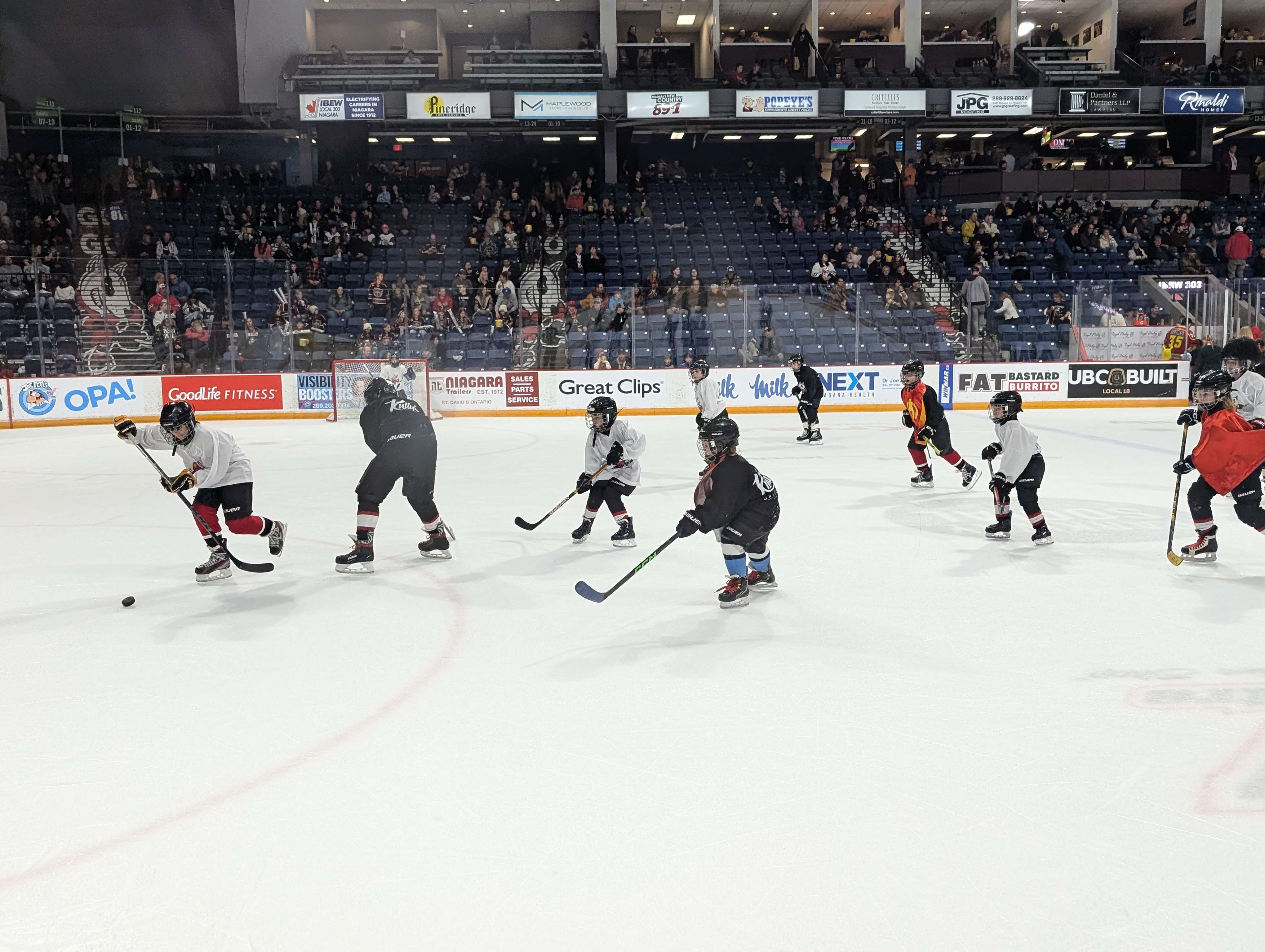 U11RS_IceDogs_8.jpg